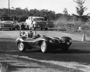 Mike Hawthorne at Sebring 1955