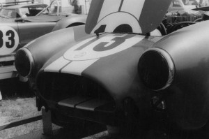 Cobra at the Watkins Glen Grand Prix 1965